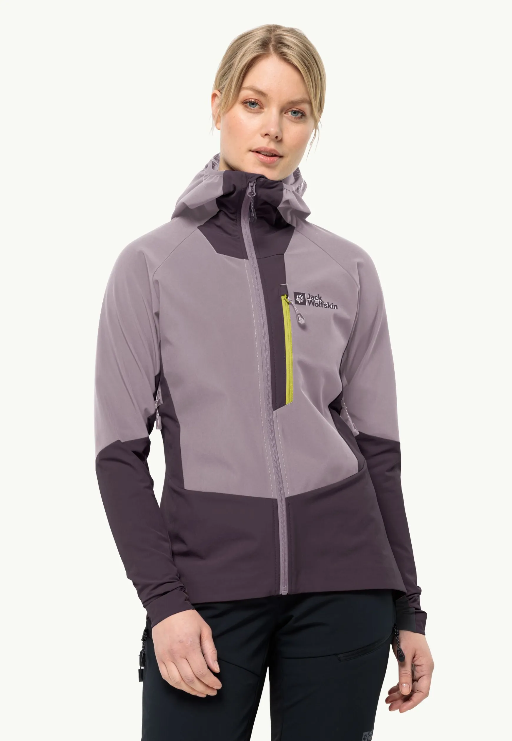 Alpspitze Hoody W